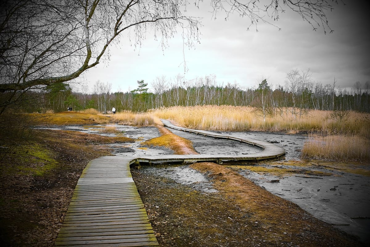 Naturreservat Soos